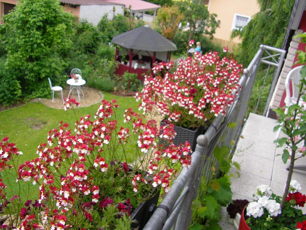 Pettstädt沃能米赫茨旅馆公寓 外观 照片